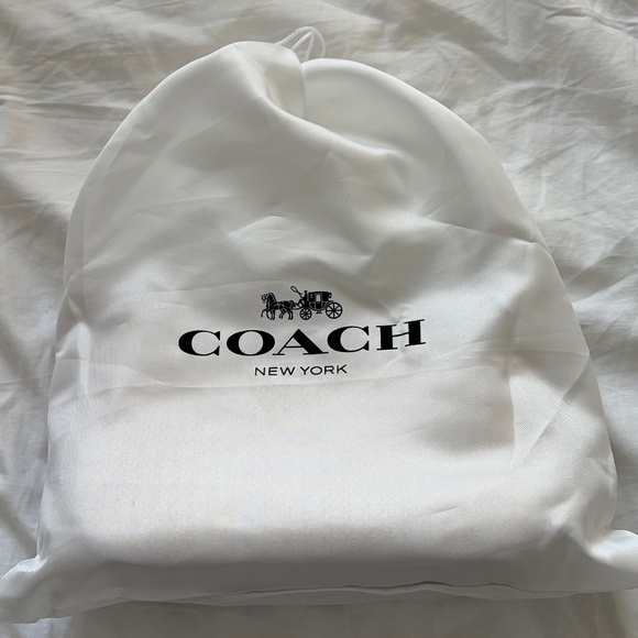 Coach Teri Straw Shoulder Bag - Picture 8 of 11